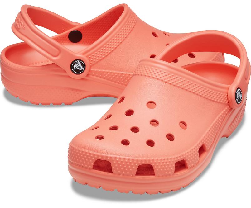 Clogs | Women/Men Crocs Classic Clog Fresco