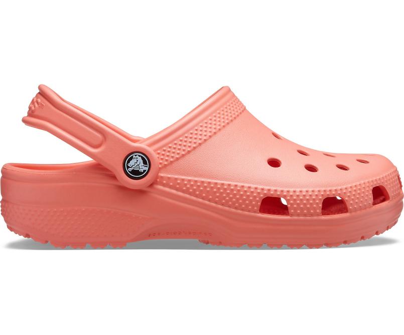 Clogs | Women/Men Crocs Classic Clog Fresco