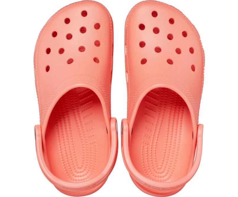 Clogs | Women/Men Crocs Classic Clog Fresco