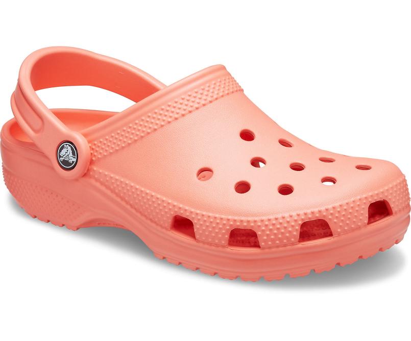 Clogs | Women/Men Crocs Classic Clog Fresco