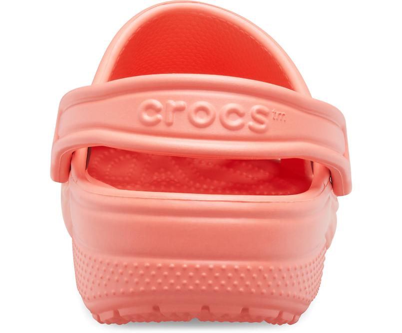 Clogs | Women/Men Crocs Classic Clog Fresco