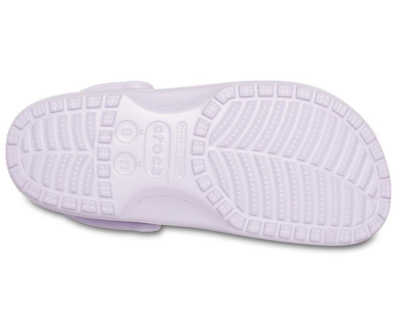 Clogs | Women/Men Crocs Classic Clog Lavender