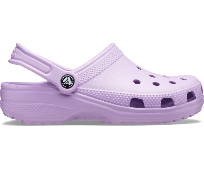 Clogs | Women/Men Crocs Classic Clog Orchid