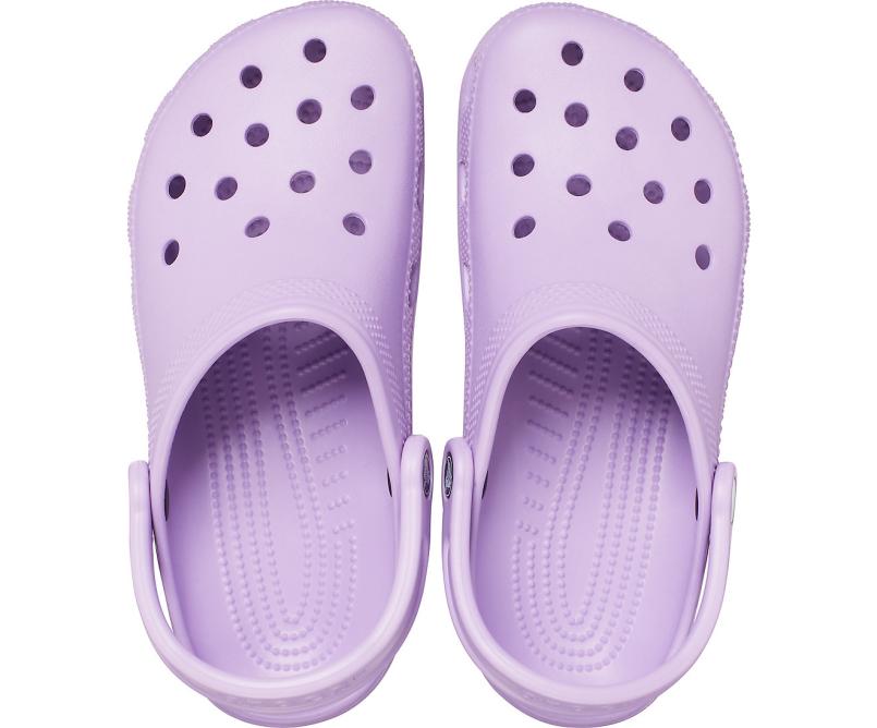 Clogs | Women/Men Crocs Classic Clog Orchid