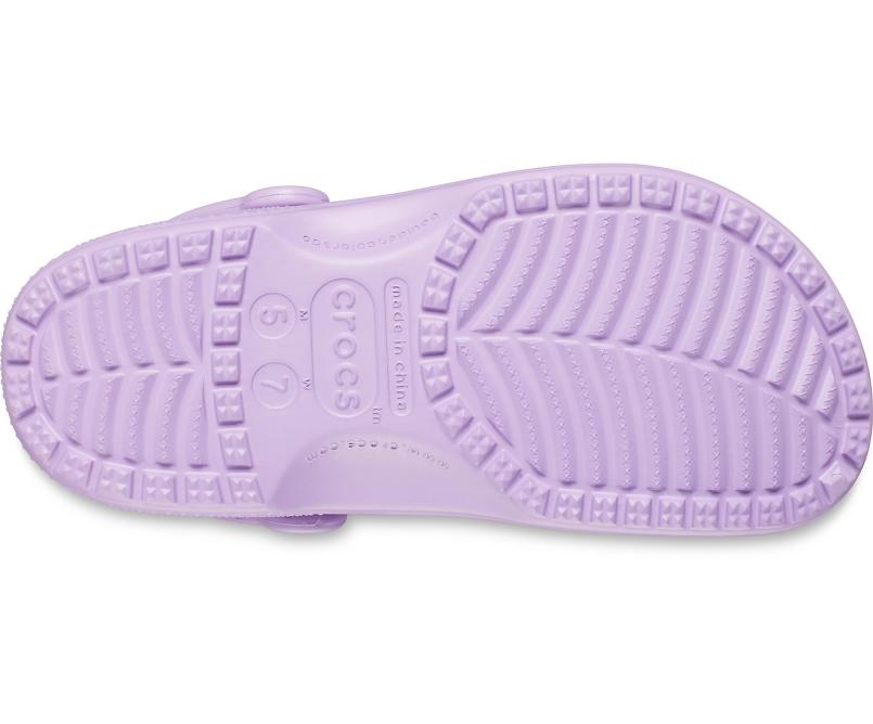 Clogs | Women/Men Crocs Classic Clog Orchid