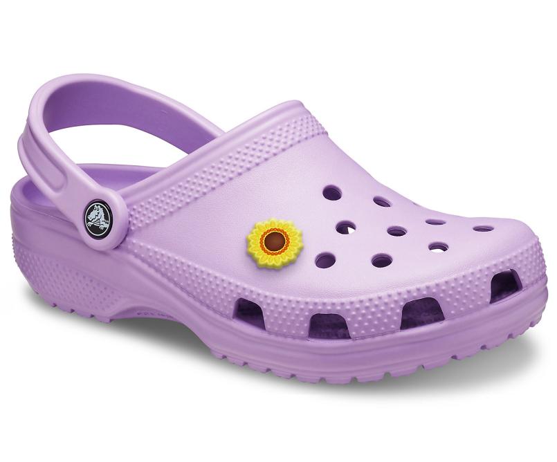 Clogs | Women/Men Crocs Classic Clog Orchid