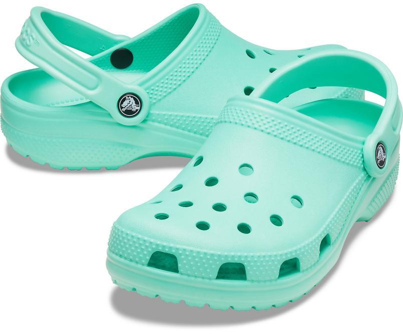 Clogs | Women/Men Crocs Classic Clog Pistachio
