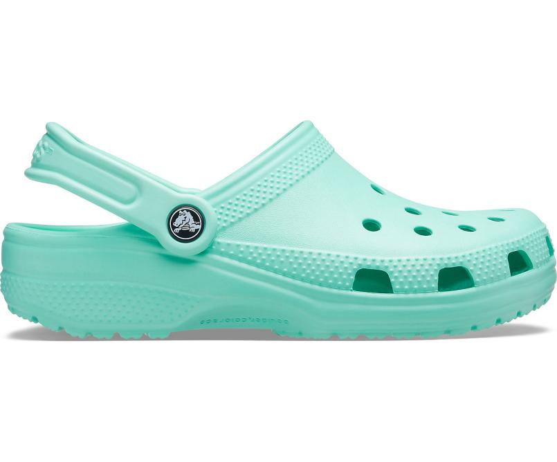Clogs | Women/Men Crocs Classic Clog Pistachio