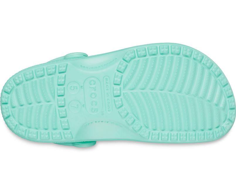 Clogs | Women/Men Crocs Classic Clog Pistachio