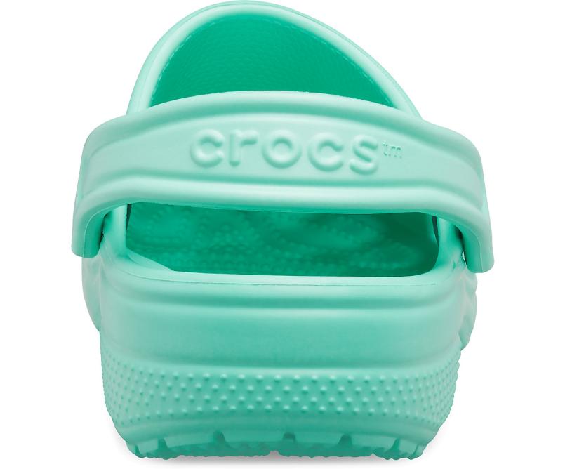 Clogs | Women/Men Crocs Classic Clog Pistachio