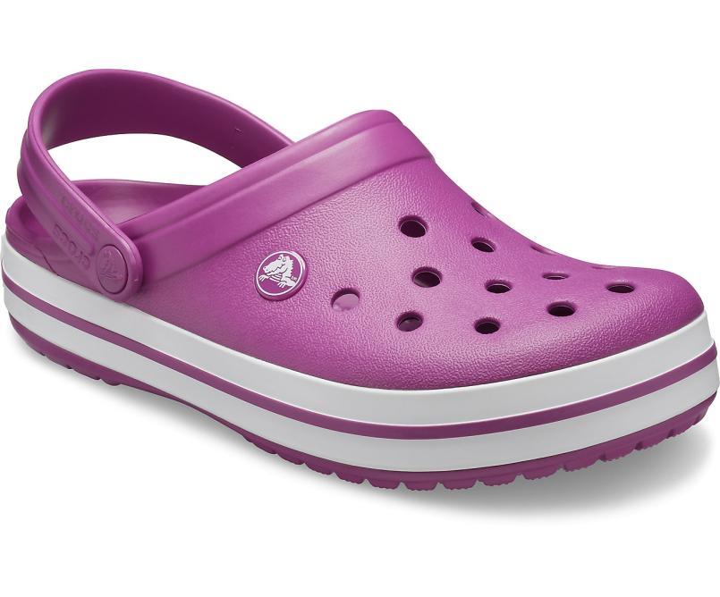 Clogs | Women/Men Crocs Crocband™ Clog Viola